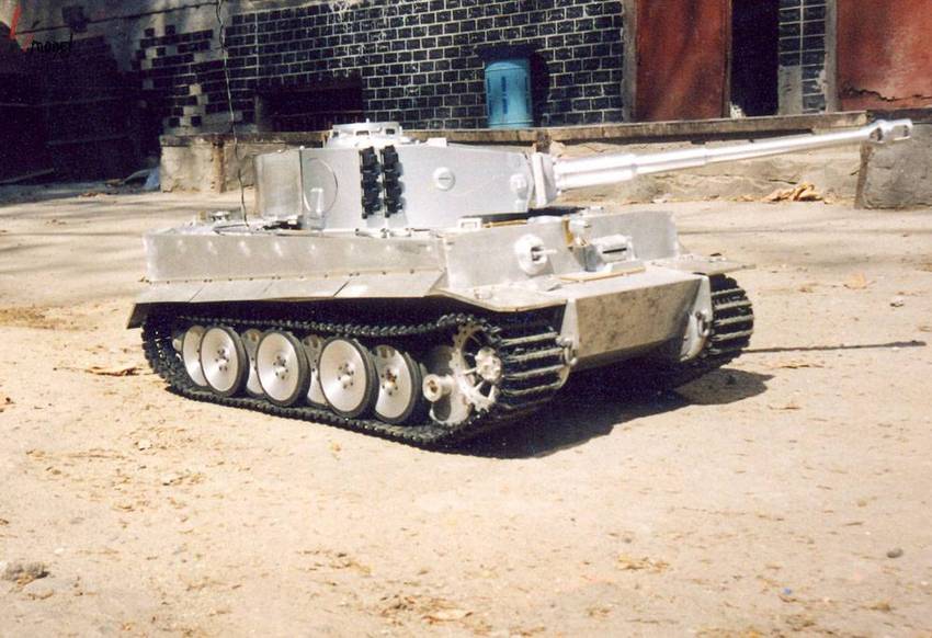 tiger_1_b.jpg