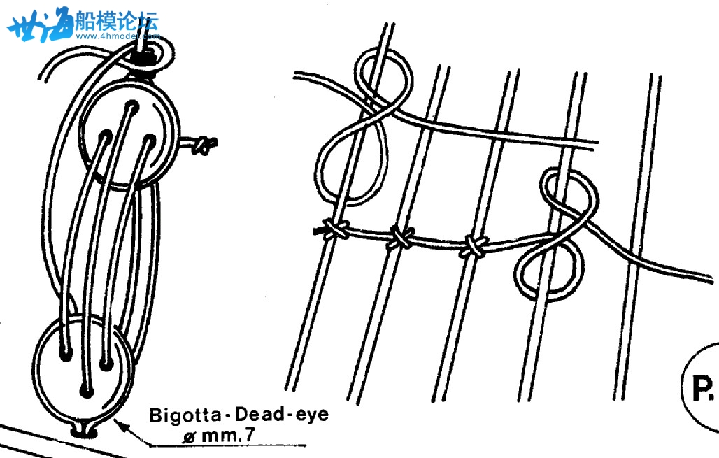 ۻ݆ Bigotta dead eye.jpg