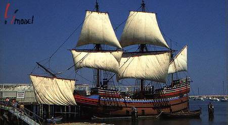 mayflower222.jpg