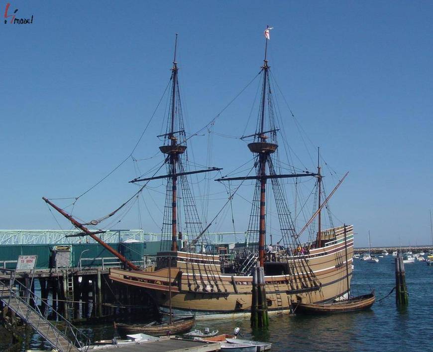 Mayflower_2-745670.jpg